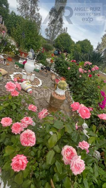 Foto 7318a3c3-bf7e-46ba-8b05-0e7d21274f9f. Mas dans vía polígono 8 paraje 214 el jaral 211 dans Mérida