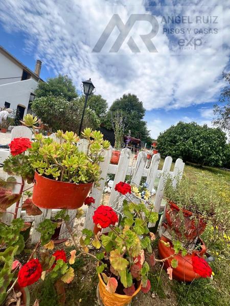 Foto 801aa5fd-f1ee-4df7-a6dc-674c9aafbced. Mas dans vía polígono 8 paraje 214 el jaral 211 dans Mérida