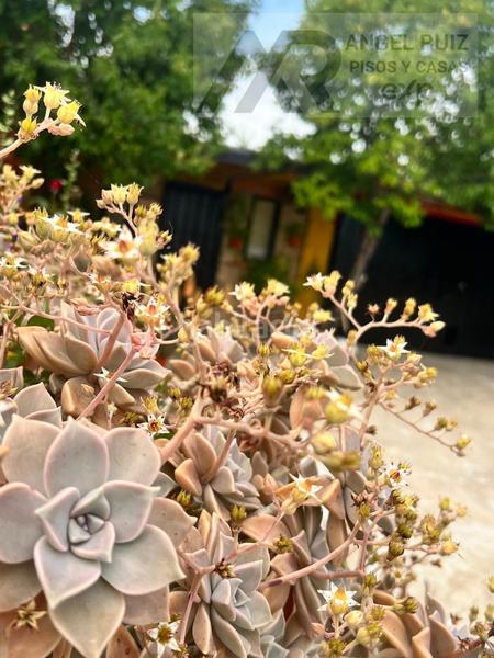 Foto 8747f63a-a3ae-4b03-9a08-ea548bed354a. Mas dans vía polígono 8 paraje 214 el jaral 211 dans Mérida