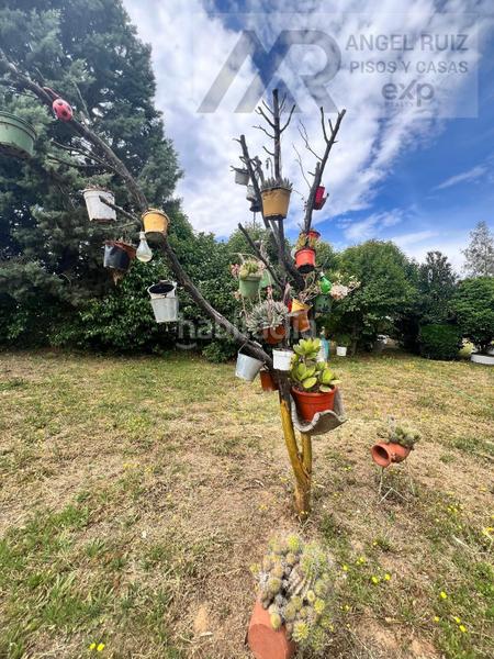 Foto b9c13b1c-d08d-4dad-9f06-390e130ac527. Mas dans vía polígono 8 paraje 214 el jaral 211 dans Mérida