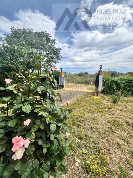 Foto c82ec6e4-bae5-45a4-889f-29f837ff695f. Mas dans vía polígono 8 paraje 214 el jaral 211 dans Mérida