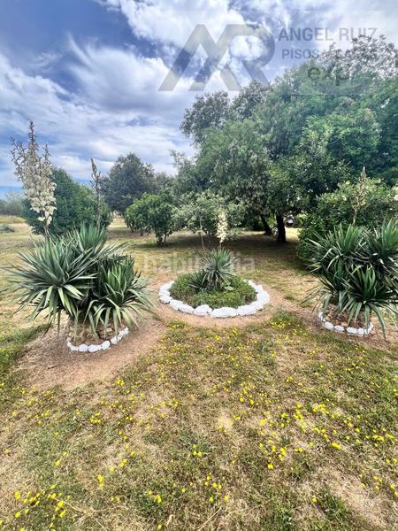 Foto e6ad40e6-21fd-40cb-b43d-d302e594e098. Mas dans vía polígono 8 paraje 214 el jaral 211 dans Mérida