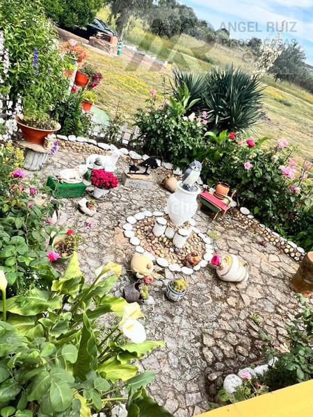 Foto ece4b37a-453f-4bed-a68e-cb2f237903f8. Mas dans vía polígono 8 paraje 214 el jaral 211 dans Mérida