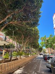 Pis  Calle cesar 11. Oportunidad de inversión en almería