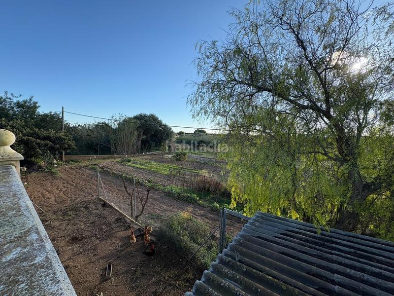 Foto 94059073-fd72-42a7-9068-302201b19116. Masia amb calefacció aparcament piscina a Partidas de Interior - Zona Rústica Vinaròs