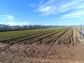 Propriété à Pasaje torre calin-ds aljorra 1. Oportunidad en la aljorra