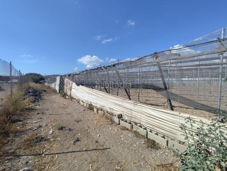 Foto 09f3e43e-c60b-49ad-abde-4d4e9ef0bad7. Finca rústica a Berja