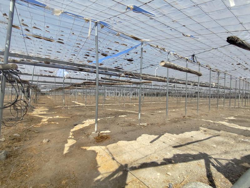 Foto 16e95e11-e64e-49c9-913f-0f9e4baa6981. Finca rústica a Berja