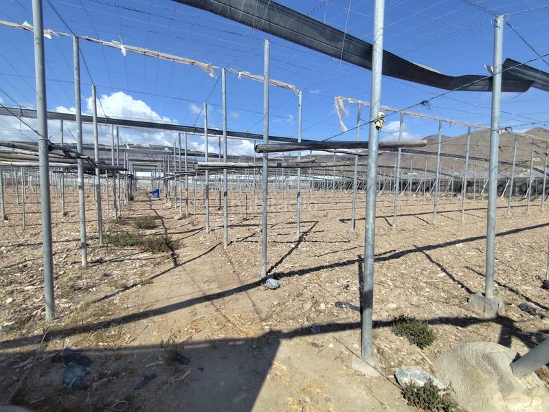 Foto 28f39401-78d3-4e7a-943f-c3a973402877. Finca rústica a Berja