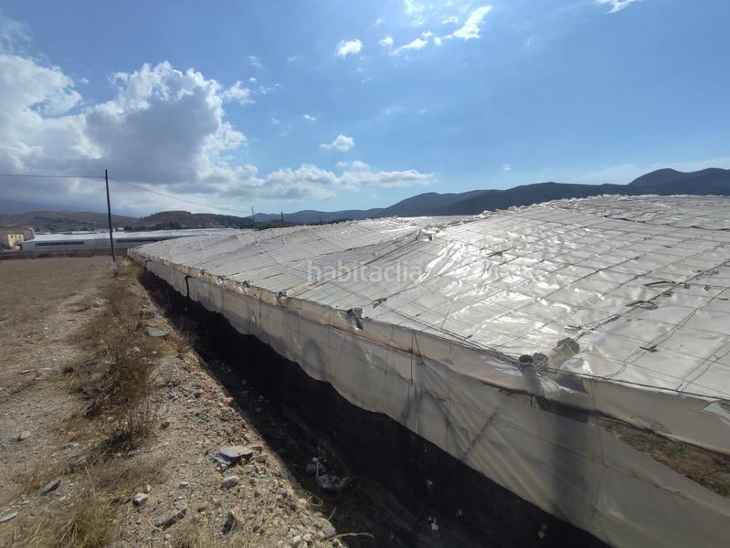 Foto 6969512a-a5d7-4fdc-800b-9a75131f06f0. Finca rústica a Berja