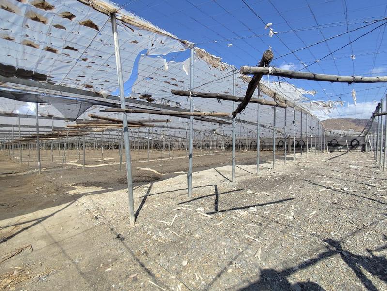 Foto 7b1087eb-3b69-491d-a48e-f70a273582a3. Finca rústica a Berja