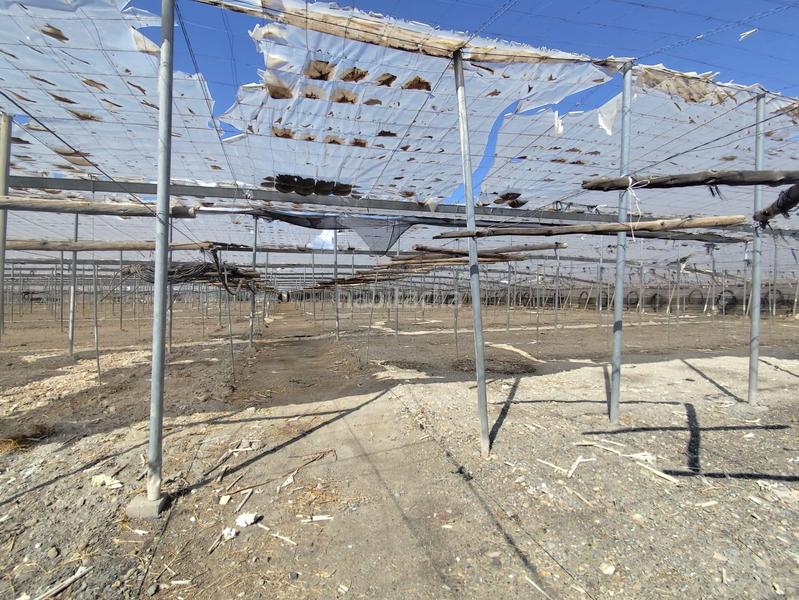 Foto 87bedf93-d840-4df9-8a24-3c6c314a21b4. Finca rústica a Berja