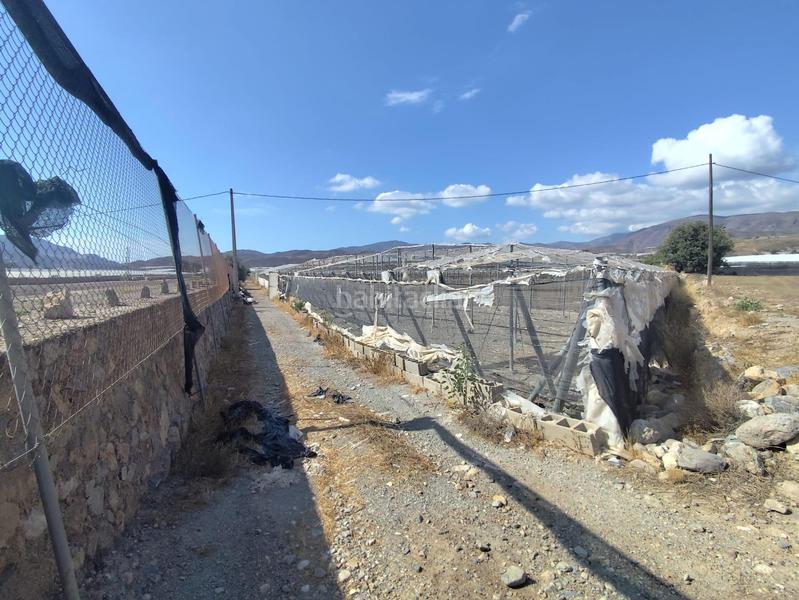 Foto 953bbf9a-2e76-4fec-9776-e6936890398f. Finca rústica a Berja