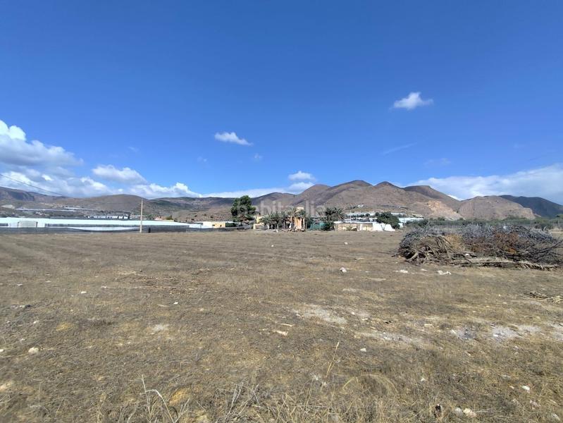 Foto b021dd55-c837-4ac2-a27e-2746f9670ccf. Finca rústica a Berja