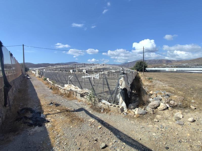 Foto b8c9740a-7f95-4cdb-a6cf-714d73d34aa2. Finca rústica a Berja