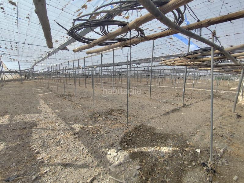 Foto bc2ba8ee-c660-4822-89cd-7eec79cb9dc8. Finca rústica a Berja