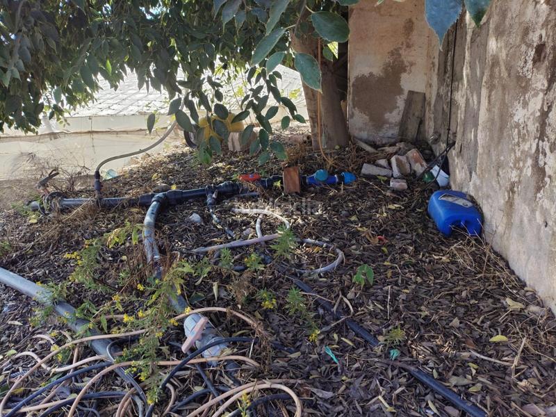 Foto d28c69b7-d363-4c60-8391-f3d0a1e31ee4. Finca rústica a Berja