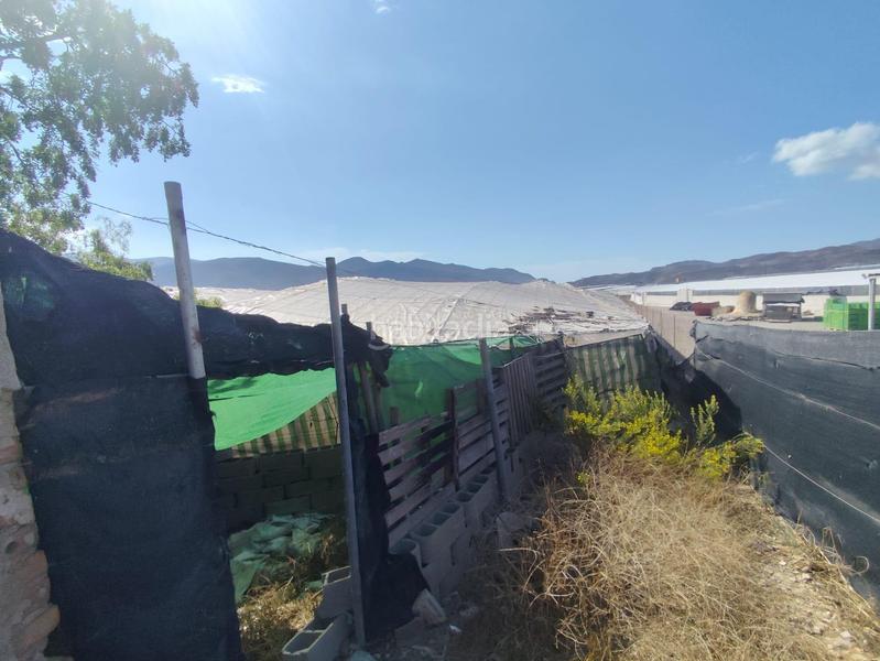 Foto d7992b8b-5fe8-4c08-9705-f888c9bc1b24. Finca rústica a Berja