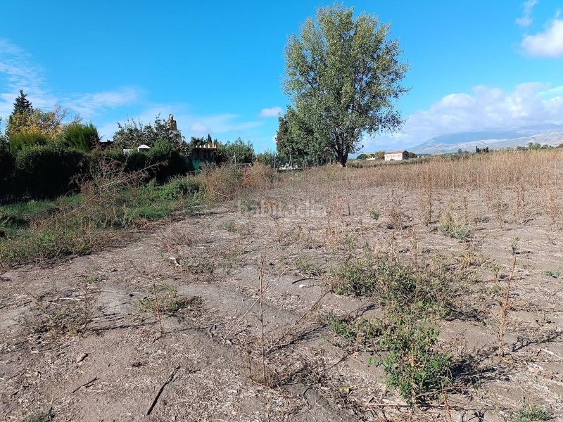 Foto 68082d9d-b6b4-42ec-97b5-6a1114046d2c. Finca rústica a Pinos Puente