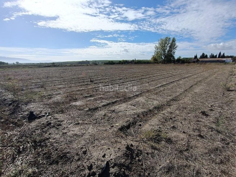 Foto cd7fba30-a5dd-46ba-bdb6-a6d791e8abba. Finca rústica a Pinos Puente