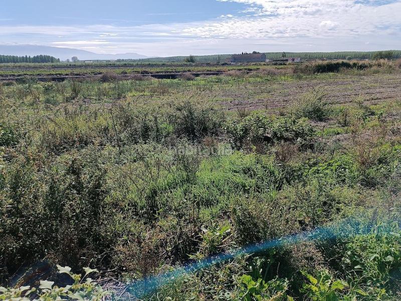 Foto 003024b8-1baa-474b-b76e-e48368634a0e. Rural plot in Pinos Puente