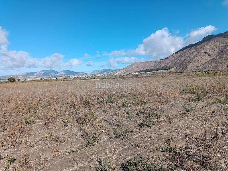 Foto 00dd9aca-c0c6-47ed-b1fb-a8595198ee66. Rural plot in Pinos Puente