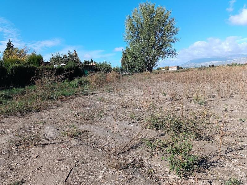 Foto 123a396c-d21b-4c81-8d0f-f56f57e10e3f. Rural plot in Pinos Puente