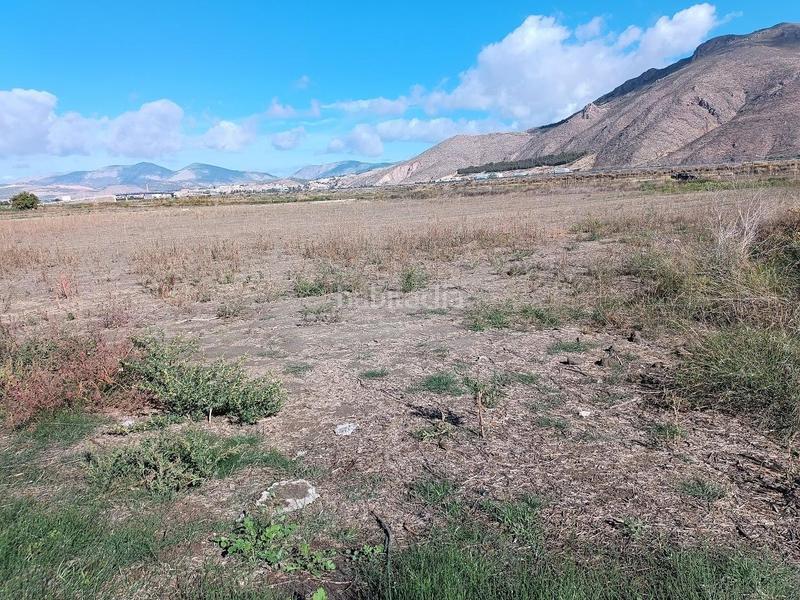 Foto 1f42019f-926a-4857-a7af-4719e87c0bb6. Rural plot in Pinos Puente