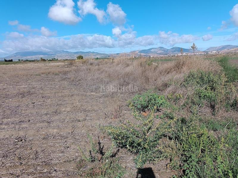 Foto 38400f46-cbc7-4a46-885a-98bffc95521e. Rural plot in Pinos Puente