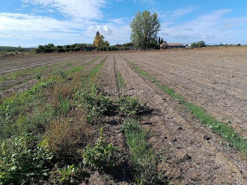 Foto 3e64467b-d475-4a58-a7f8-160e78d1cb11. Rural plot in Pinos Puente