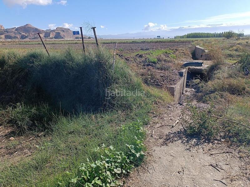 Foto 4dd6d311-7c90-4a38-ab56-fb0b599a66d6. Rural plot in Pinos Puente