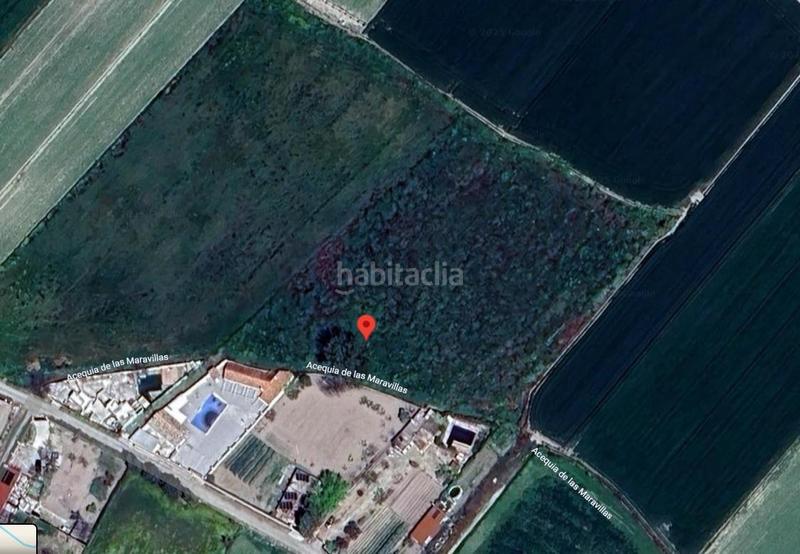 Foto 51d00343-e420-44c6-8bc6-645c3efa904d. Rural plot in Pinos Puente