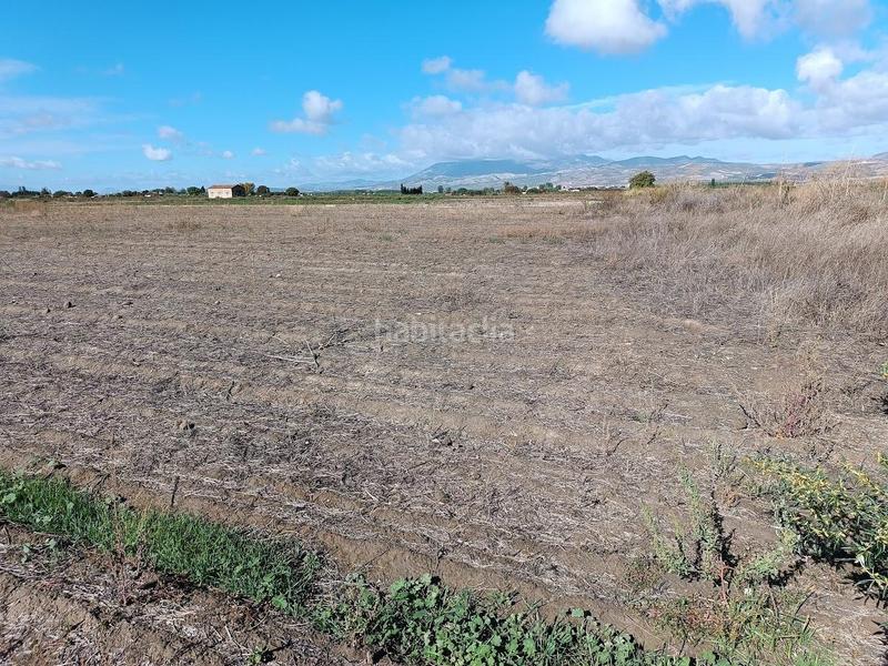 Foto 5cf9caba-e8c8-4dde-9fd7-777aaa656f8f. Rural plot in Pinos Puente