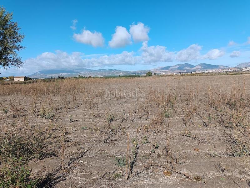 Foto 75034f5b-7dd0-479e-ad66-54f3a6e3f96b. Rural plot in Pinos Puente