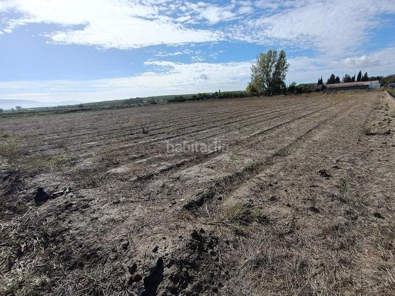 Foto 76fba117-76fc-486b-b43a-aea900583453. Rural plot in Pinos Puente