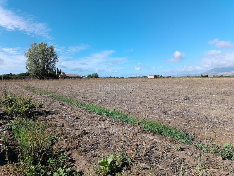 Foto 79f3d2e9-48be-4d75-b586-7073f86ed592. Rural plot in Pinos Puente