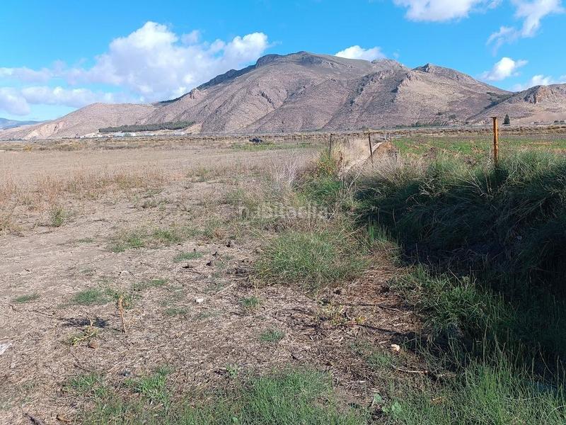 Foto 91bde3a4-e00d-4ebe-8af9-ca747c94b1fe. Rural plot in Pinos Puente