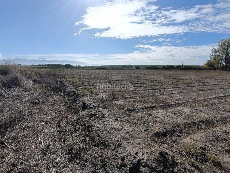 Foto 992744a9-dd71-4d32-853e-d1e2158d9728. Rural plot in Pinos Puente