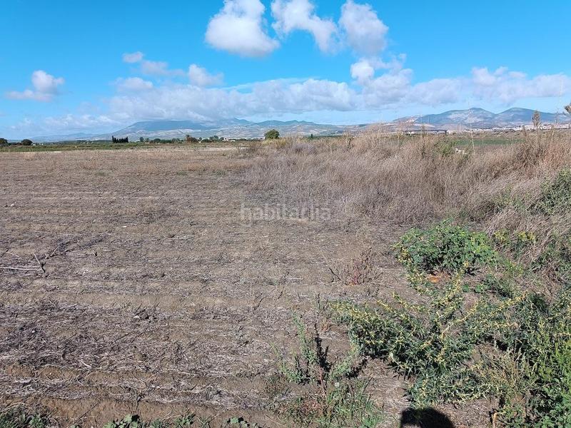 Foto aeaa7d19-0ed8-460b-b283-15835aebcae7. Rural plot in Pinos Puente