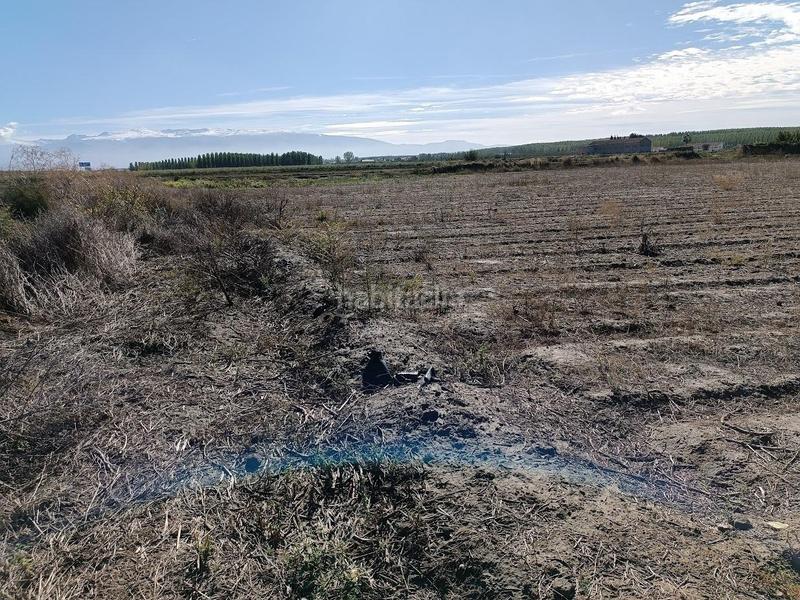 Foto b10093a1-8372-4a0c-a979-001b671e609c. Rural plot in Pinos Puente