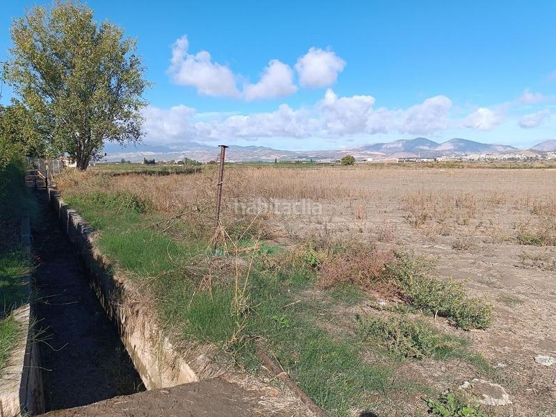 Foto ba47ef28-e8f3-4016-96be-f43a27614887. Rural plot in Pinos Puente