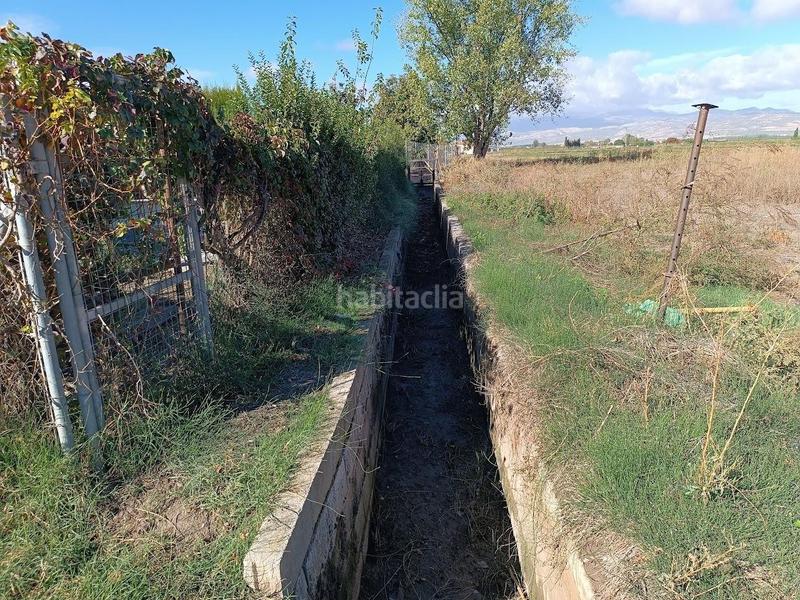 Foto bd0847b8-7796-49eb-bf32-35533fdbb135. Rural plot in Pinos Puente