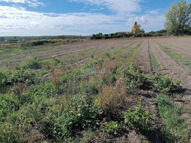 Foto c6a941d3-40bc-4d4a-b222-2756a28fe356. Rural plot in Pinos Puente