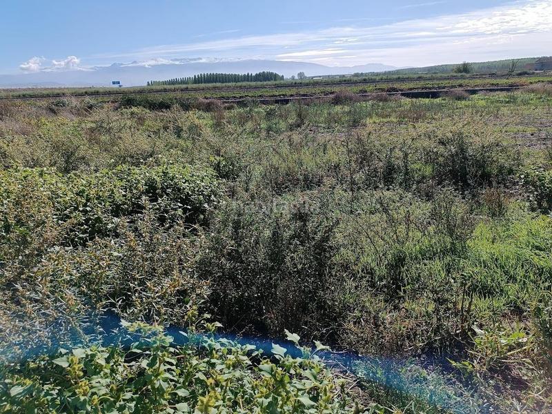 Foto e3b87324-26ea-4d0a-a3c6-ecaeee4f6cbb. Rural plot in Pinos Puente