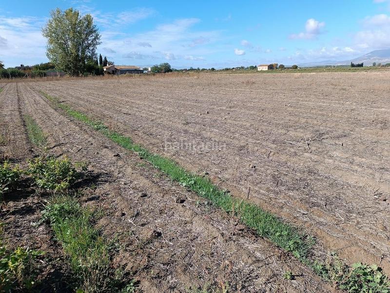 Foto f6d9e6d1-699c-4086-b408-64a1a4b59a08. Rural plot in Pinos Puente