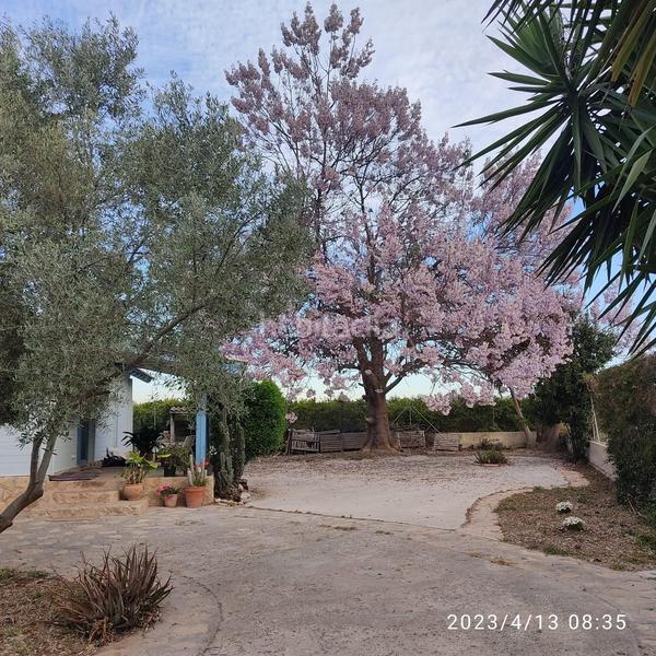 Foto aa3f48aa-14d7-4c00-9cad-e1800e0da79e. Xalet amb aparcament a Camino de Onda-Salesianos Burriana