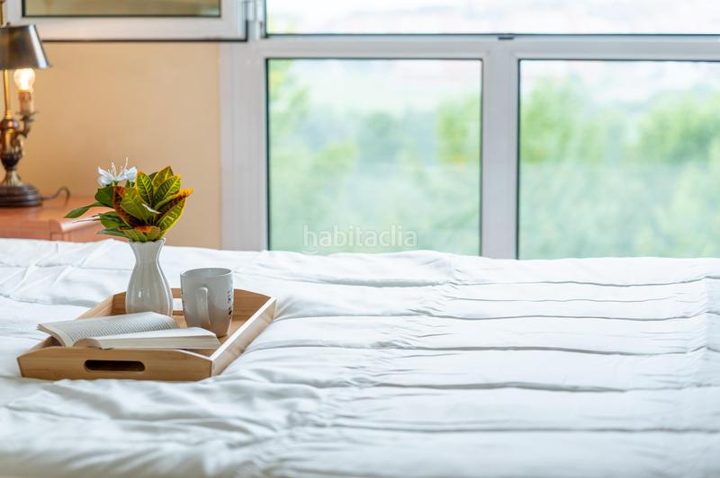 Foto 1b5f5b0e-df42-4555-ab80-ead9242dbf49. Pis a calle coaña 2 a La Florida Oviedo