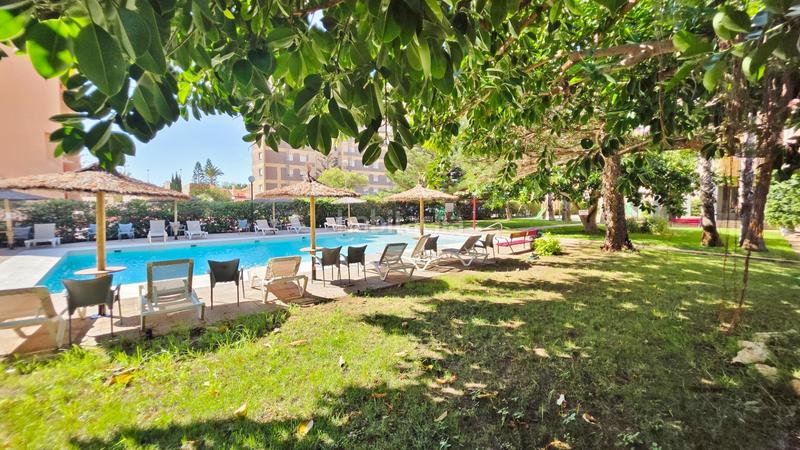 Foto f7bf2824-90f3-496a-9b93-4d1f32c6a3d9. Appartement avec parking piscine dans Zona Galúa - Calnegre Manga del Mar Menor (La)