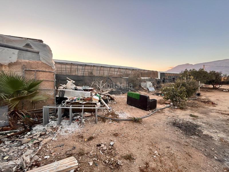 Foto 51a566e1-2fd5-46ae-8eb1-61f9c004c1cc. Finca rústica a Ejido Sur Ejido (El)