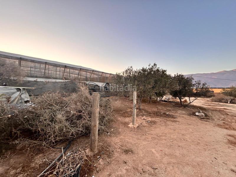 Foto a537f7b7-7433-43f0-97a6-c605ce0d9eb0. Finca rústica a Ejido Sur Ejido (El)